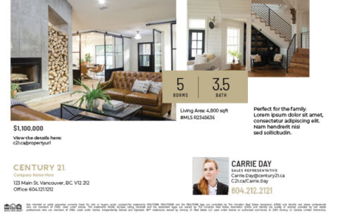 Back side of the direct mail design template for 